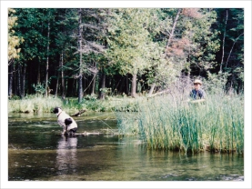 Caddis on the outlook Caddis on the outlook