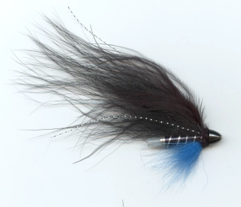 A night fly A night fly