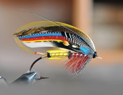 Red Jock Scott Red Jock Scott