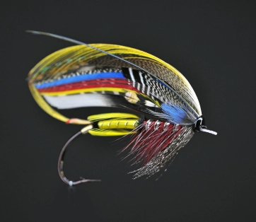 Red Jock Scott frontal view Red Jock Scott frontal view