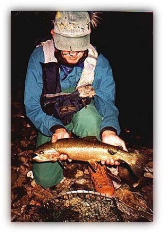 Brown steelhead Brown steelhead