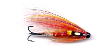 Solar Winds Solar Winds