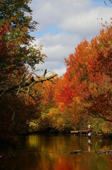 Fishing in New York Gallery Fishing in New York Gallery
