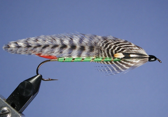 Grizzly King Grizzly King