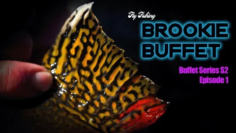 Video thumb for Brookie Buffet  Episode 1 Season 2