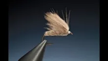 Video thumb for Beaver Caddis
