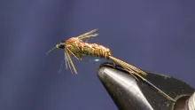 Video thumb for Flash Back Pheasant Tail