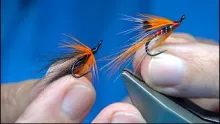 Video thumb for Stinchar Stoats Tail and a Sparse Ally's Shrimp