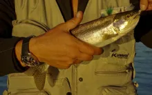 User submitted picture: Collon Cura River, Patago...