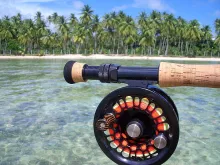 User submitted picture: "Winter" dreams......!
...