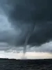 User submitted picture: We ran into this nasty we...