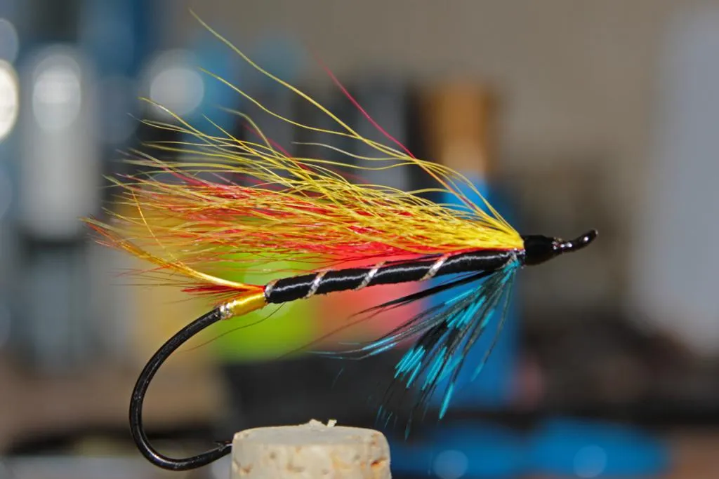 User submitted picture: Gary Dog