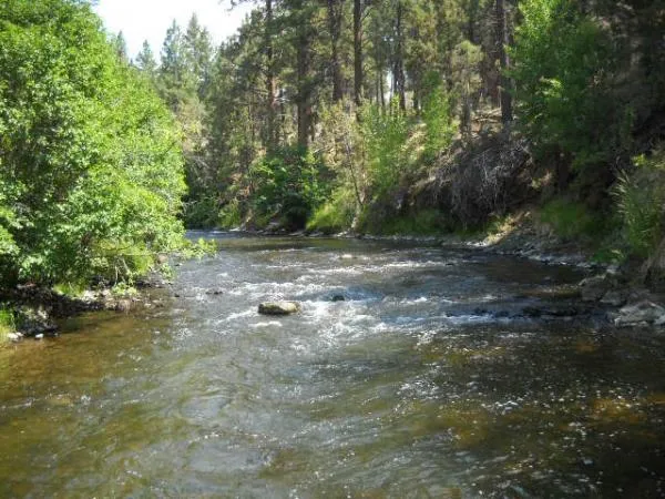 User submitted picture: A great day on the Chewau...