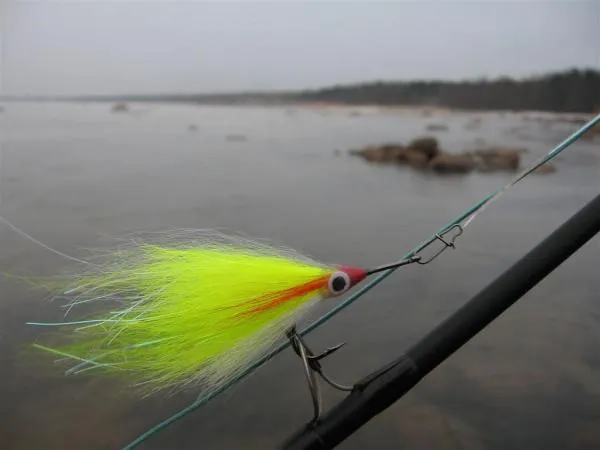 User submitted picture: Fly for pike!