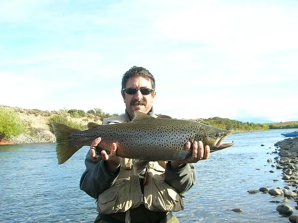 User submitted picture: BROWN TROUT
FISH WITH WI...