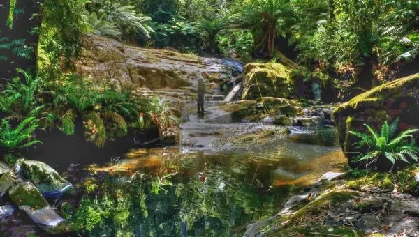 User submitted picture: Fly fishing in remote gor...