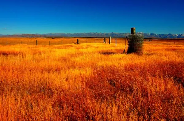 User submitted picture: we usually do not like fe...