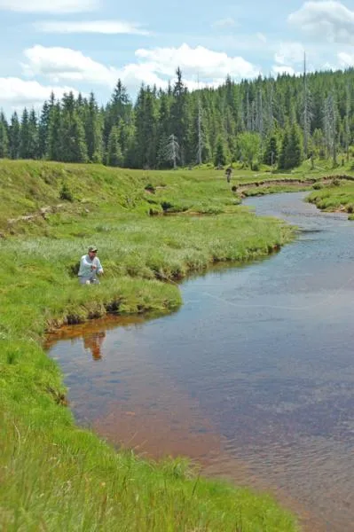 User submitted picture: www.tartaknadbobrem.com