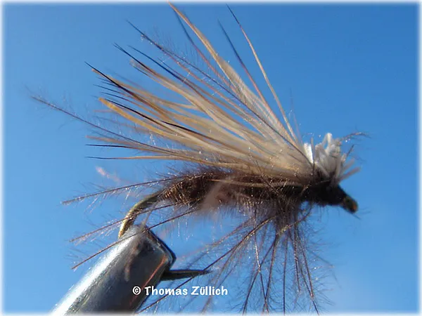 User submitted picture: CDC & Elk - even though i...