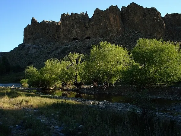 User submitted picture: Natural caves and willows...