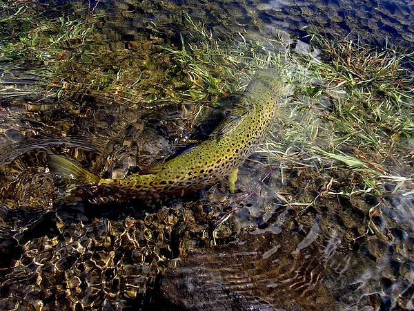 User submitted picture: "Gone"